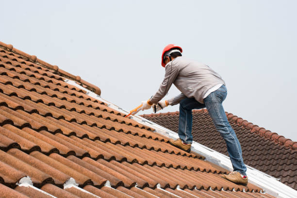 Professional  Roofing repair and installation in Wye, MT