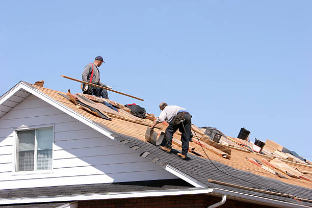 Best Roof Leak Repair  in Wye, MT